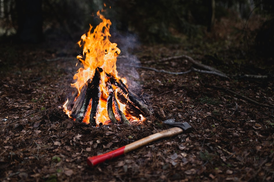 Traveling Through the Wild: My Adventures