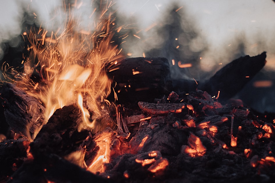 Environmental Studies and Wildfire Work